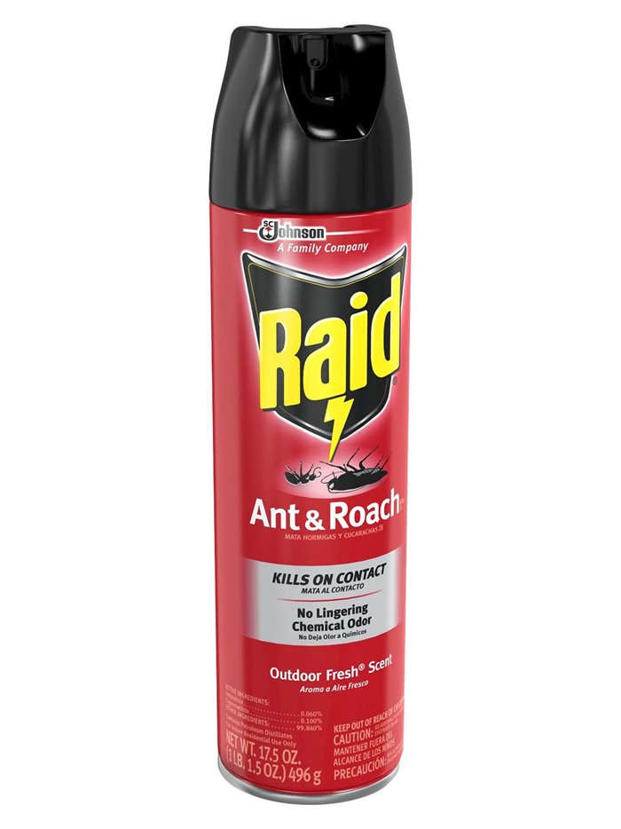 16822 - Raid Ant & Roach, Outdoor (74919) - 17.5 oz. (Case of 12) - Box:  - Loc: I12