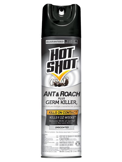 21040 - Hot Shot Ant& Roach Unscented - 17.5 oz. - Box:  - Loc: I13